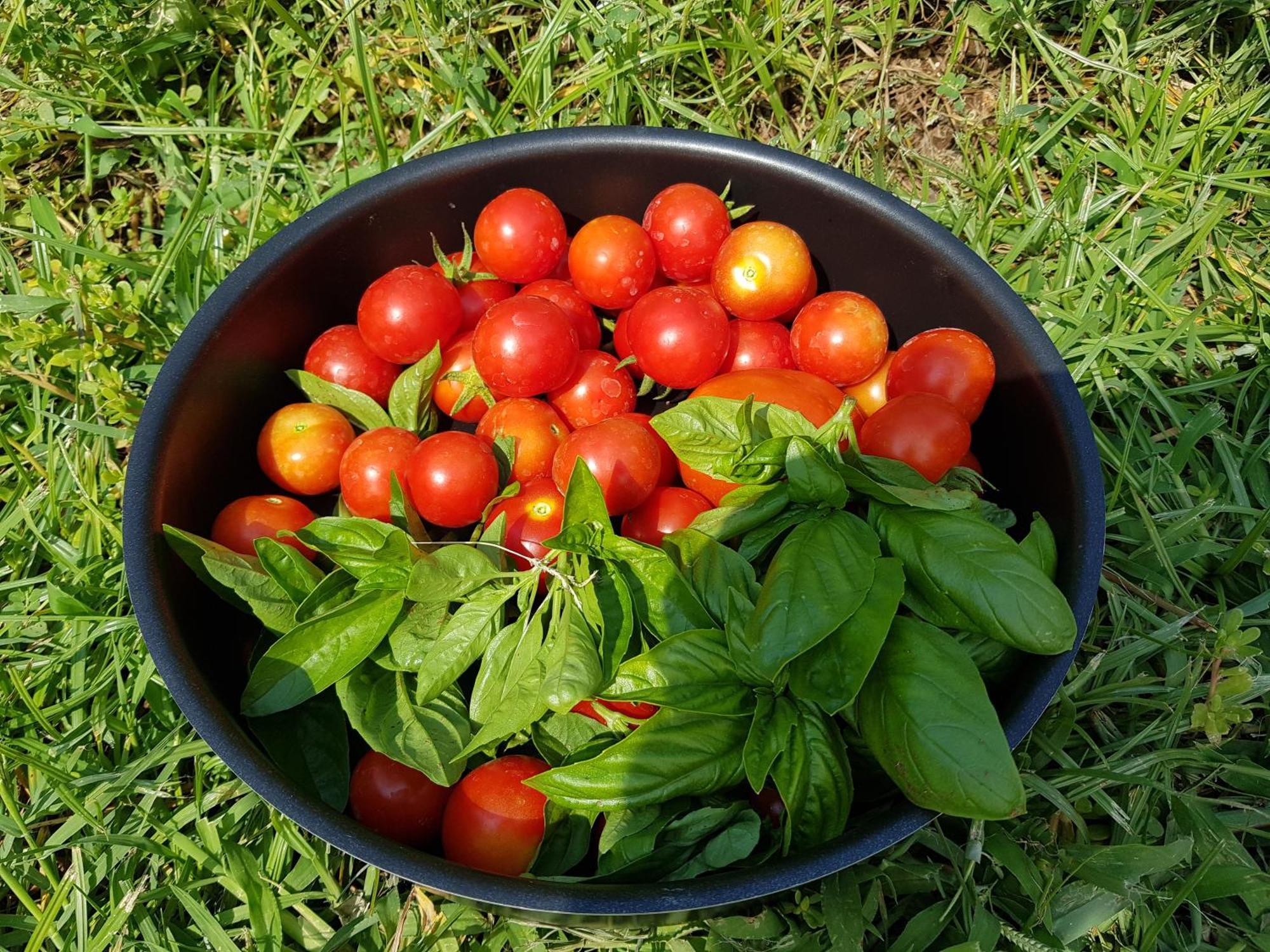 Il Giardino Di Tolu Siracusa * Syracuse