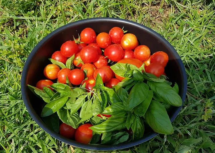 Il Giardino Di Tolu Siracusa